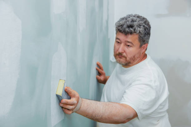 Mold Remediation for Vacation Homes in Fruitport, MI